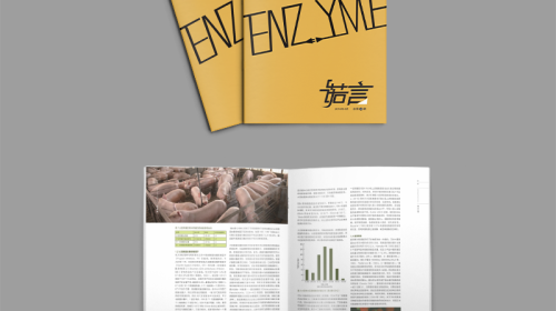 反盗版水印：产品手册设计公司的知识产权隐形防护网