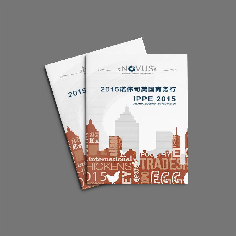 立体画册设计公司