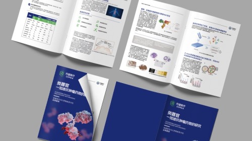 应对复杂信息：我们如何为一篇高密度技术论文设计成通俗易懂的画册内页。